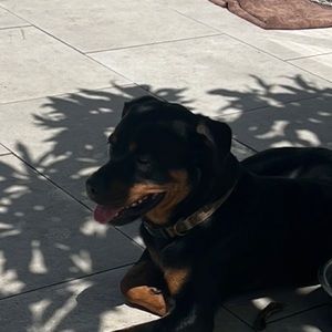 Meet your Posher, Kenna